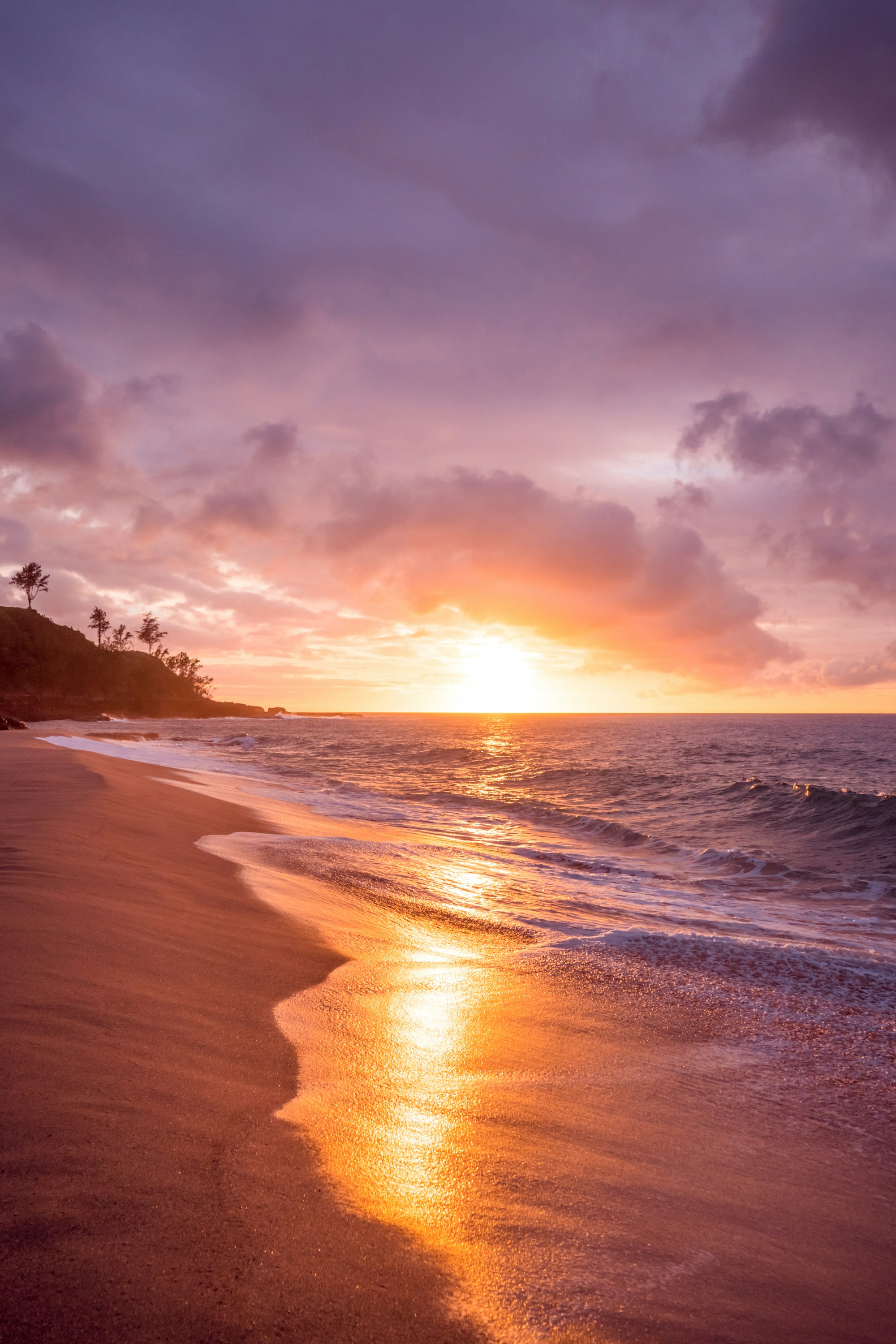 Caribbean Backdrop